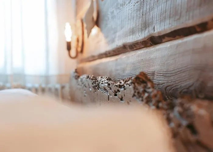 ベッド・アンド・ブレックファスト Laguna 3*